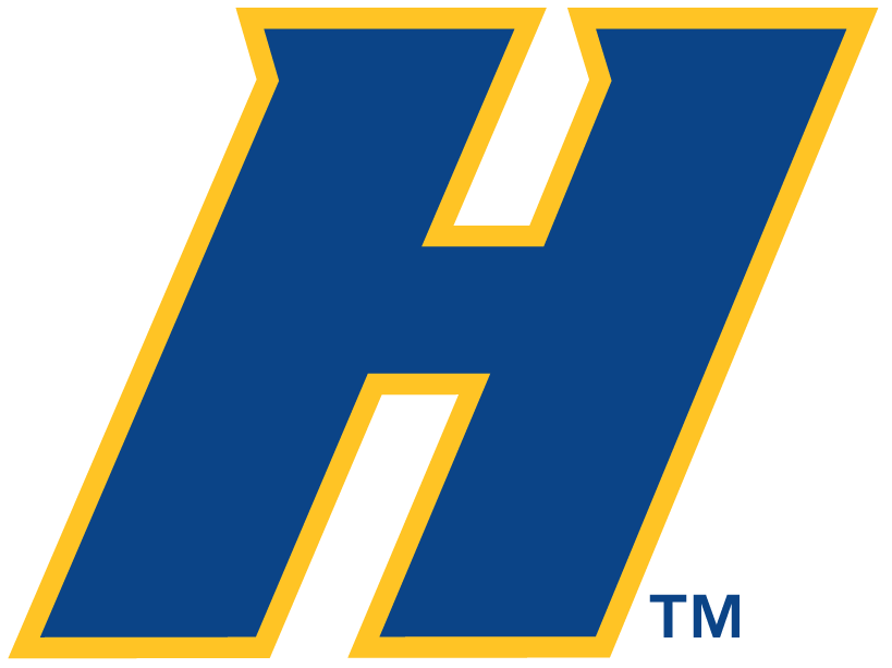 Hofstra Pride 2005-Pres Alternate Logo iron on transfers for clothing